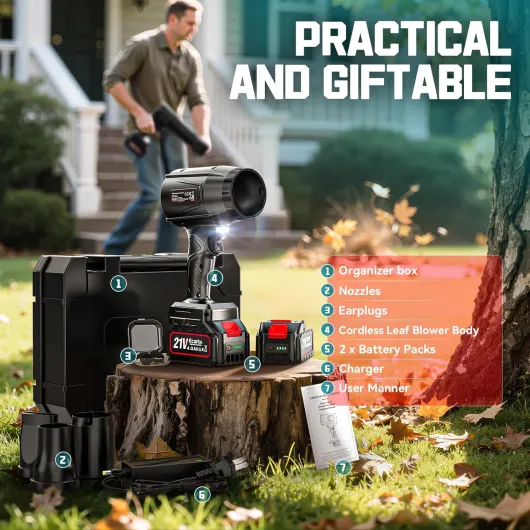 81U7ctXDOYL._AC_SL1500_