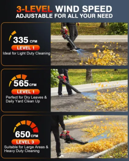 81TL82HydWL._AC_SL1500_