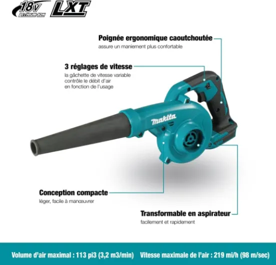 61lAL6Qf75L._AC_SL1000_