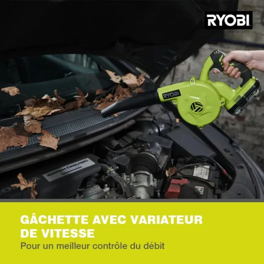 61nEL36KOyL._AC_SL1000_