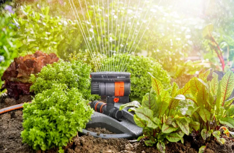 810u23n-R8L._AC_SL1500_