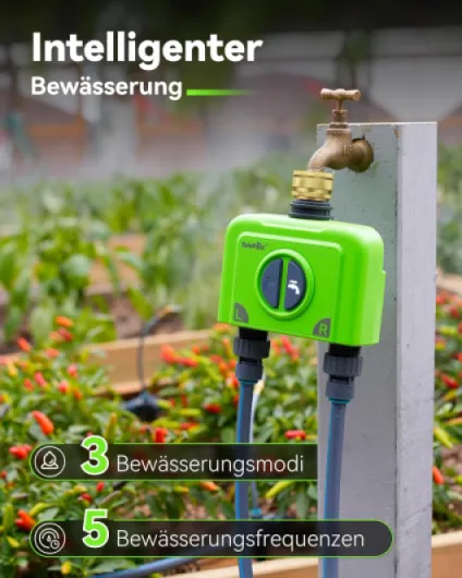 Programmateur Arrosage WiFi 2 Voies avec Entrée en Laiton Minuteur Arrosage Automatique, Passerelle D'antenne RF 150m, Smart Commande APP/vocale Basé Météo, 2x6 Programmations, pour Jardin 2-Zone-Timer avec WLAN-Hub