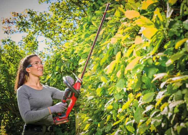 81PAlPEa4wL._AC_SL1500_