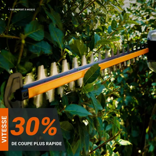 81TRQDw5P3L._AC_SL1500_