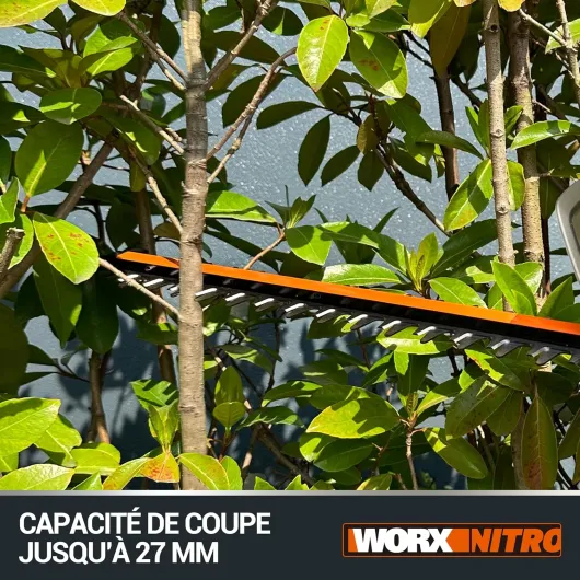 915PDQhka0L._AC_SL1500_