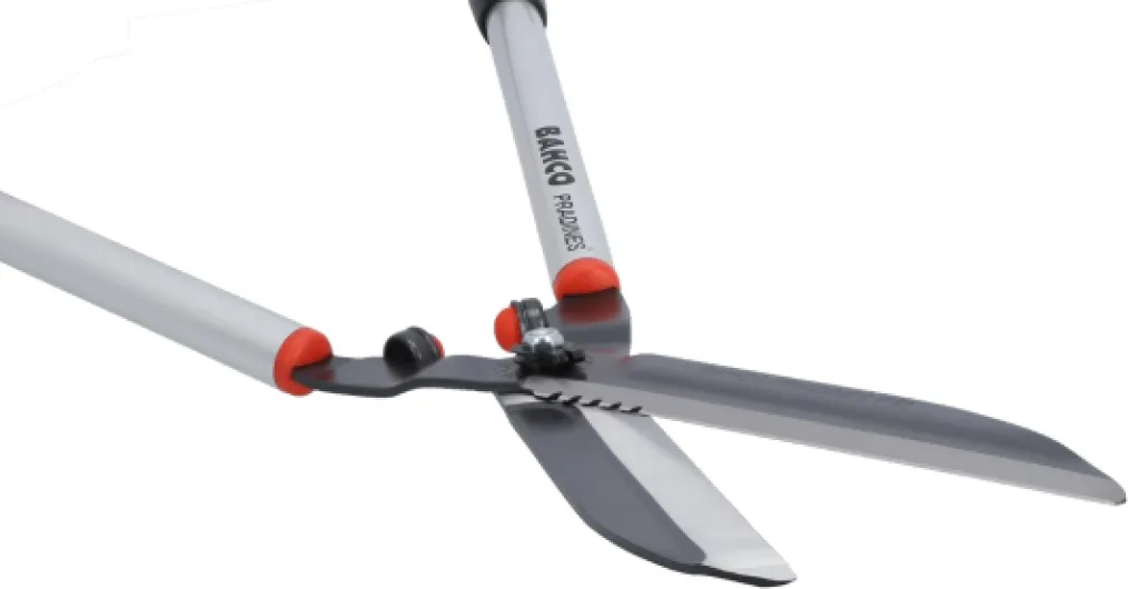 51qZl2qxdVL._AC_SL1500_