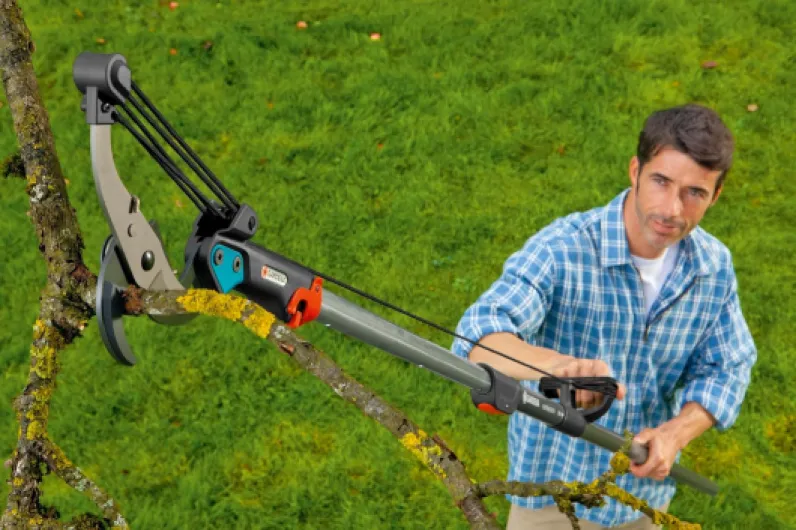 81hw6CayfPL._AC_SL1500_