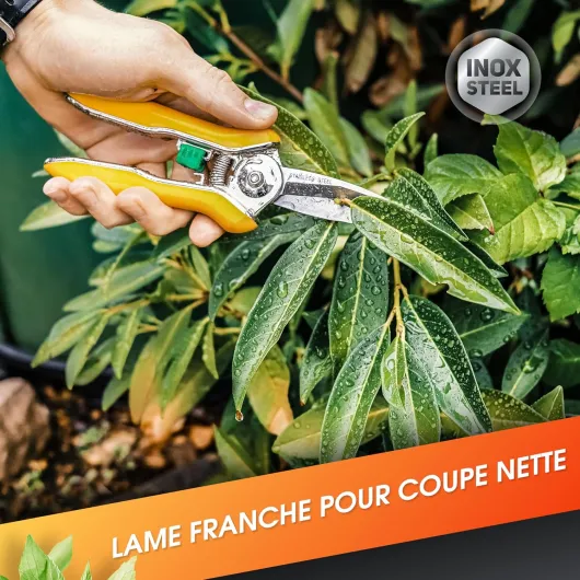 91OVLOJoSML._AC_SL1500_