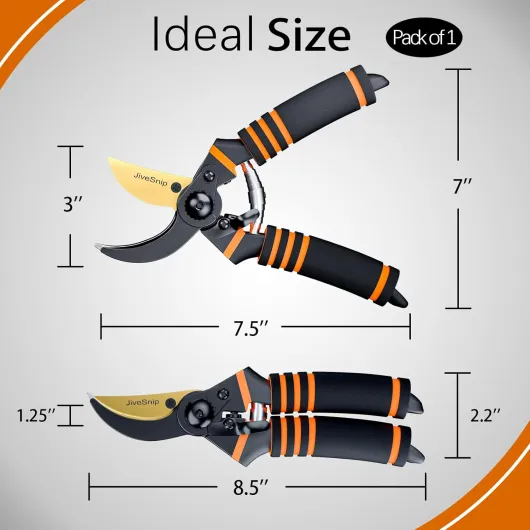 61vQ93eIrnL._AC_SL1500_