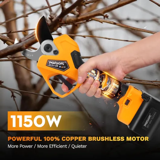 71N0HGmxrtL._AC_SL1500_