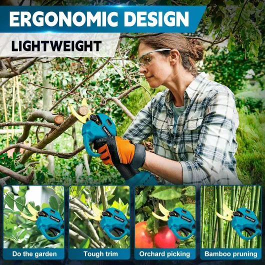 81FT2y7cGbL._AC_SL1500_