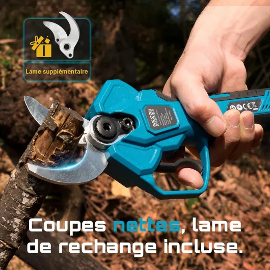 81kRMIBjEVL._AC_SL1500_