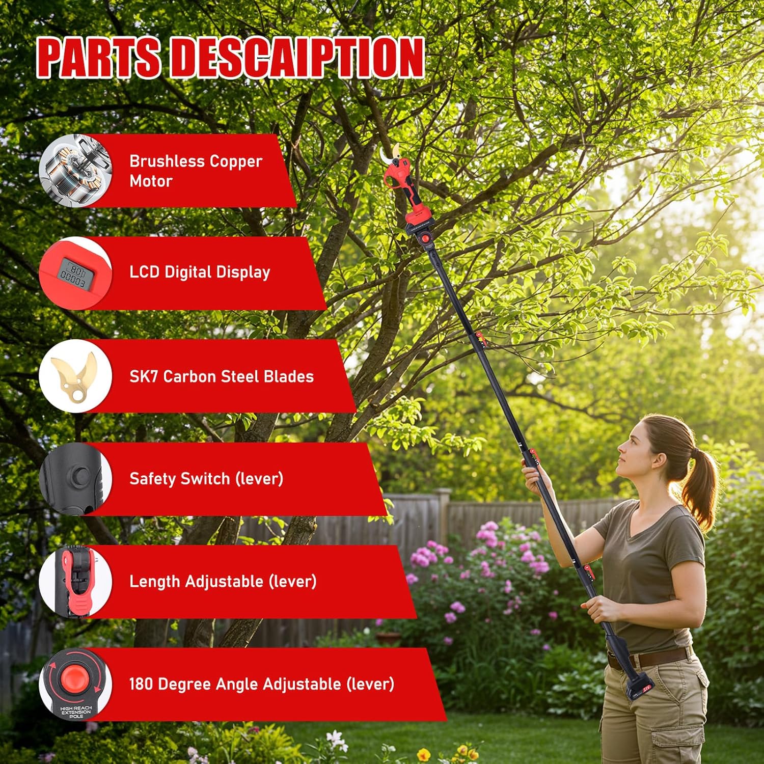 Secateur Electrique sans Fil 50mm avec Perche Télescopique: Coupe Branche Telescopique avec 2 x 2000mAh Batterie - Sécateur Électrique Professionnel, sécateur de Jardin pour Hedge, Arbre, Fruits