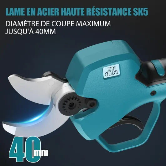 7189aqoGczL._AC_SL1500_