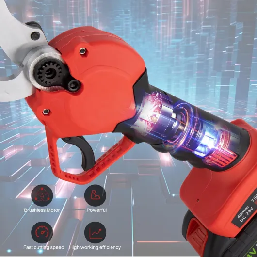 718gX4cFnDL._AC_SL1500_