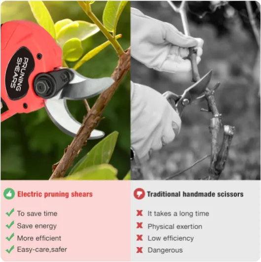 713PcvScnnL._AC_SL1500_