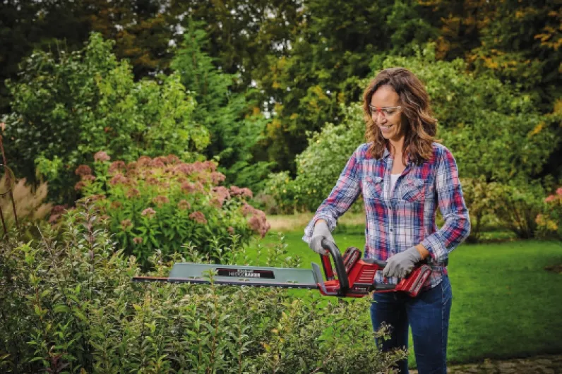 91D4Md13R0L._AC_SL1500_