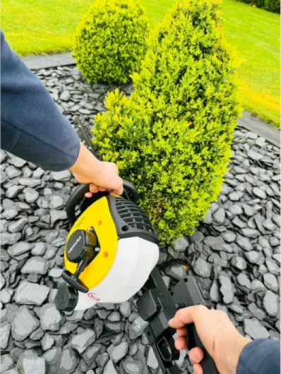 91Rf0Kex6JL._AC_SL1500_