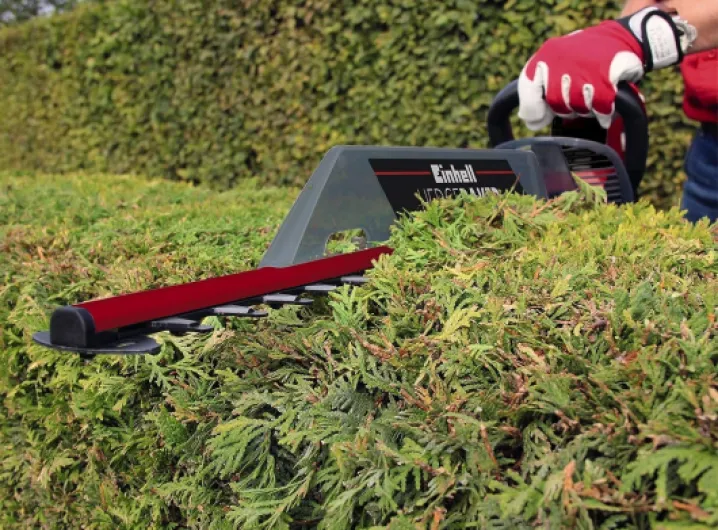 818r9yWcgKL._AC_SL1500_