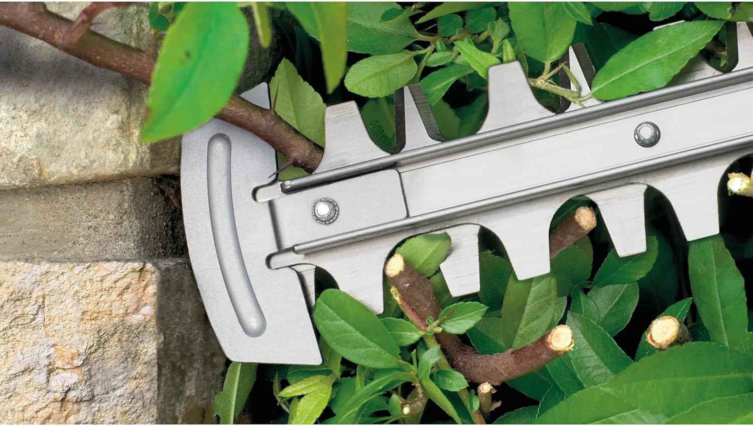 Taille-Haies AdvancedHedgeCut 65 (500 W, Longueur de lamier : 65 cm, pour Grandes Haies, capacité de Coupe : 34 mm, dans Carton) Vert Nouveau design - Classic Green Cisaille à haies 65 cm