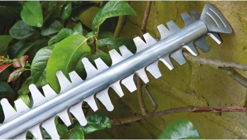 81WLCROIX3L._AC_SL1500_