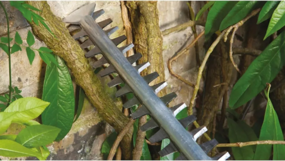 81IuPZcHs2L._AC_SL1500_