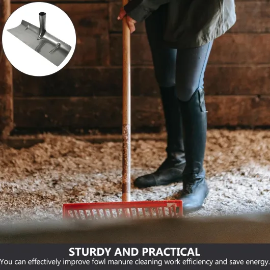 81W6ppwR-AL._AC_SL1500_