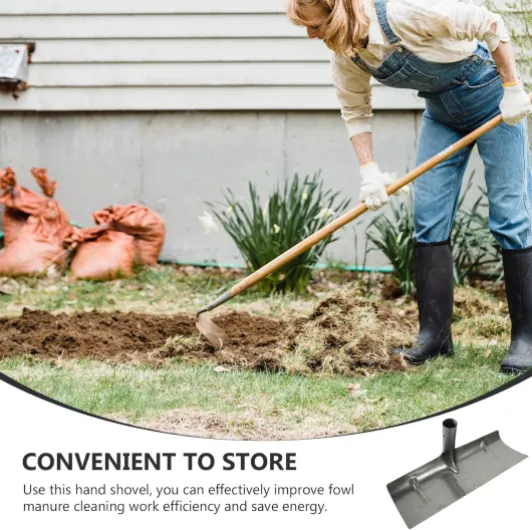 81Wraz5CRyL._AC_SL1500_