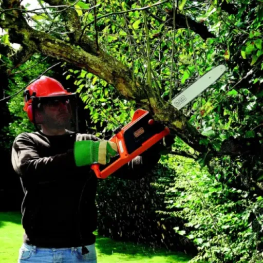 Test BLACK+DECKER Tronçonneuse filaire : Puissance et sécurité au rendez-vous