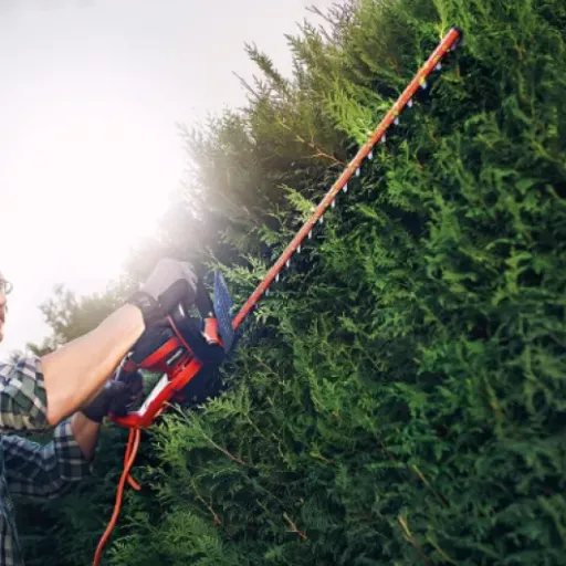 Test Taille-haie électrique GC-EH 6055/1 : ça coupe, et bien !