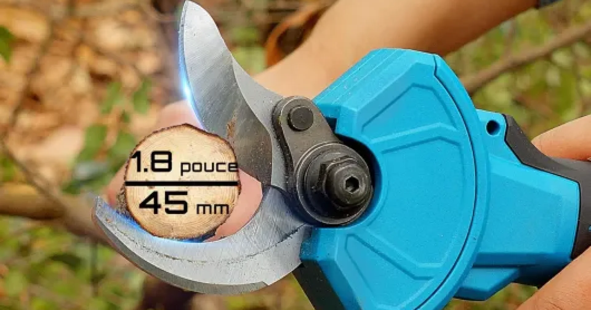 Test SEESII Sécateur Électrique Avec Perche : le compagnon idéal pour ...