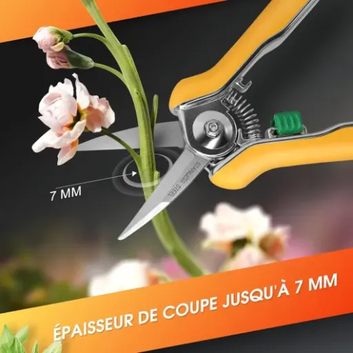 Test GRÜNTEK Sécateur de Jardin à Fleurs Bonsai Plantes : Un outil pratique pour vos plantes d'intérieur.