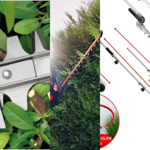 3 meilleurs taille-haies électriques précision : notre comparatif (janvier 2026)