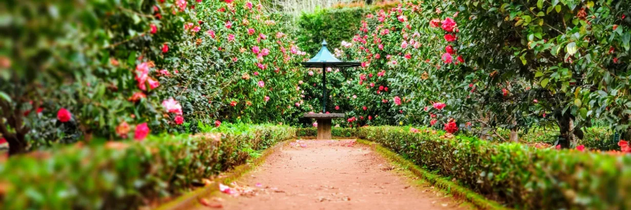 Nos coups de coeur jardinage 2026