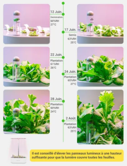 71kX14HZcUL._AC_SL1500_