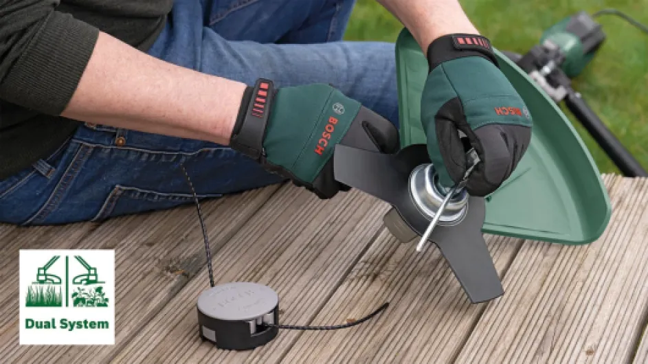 71gQ-fLJggL._AC_SL1500_