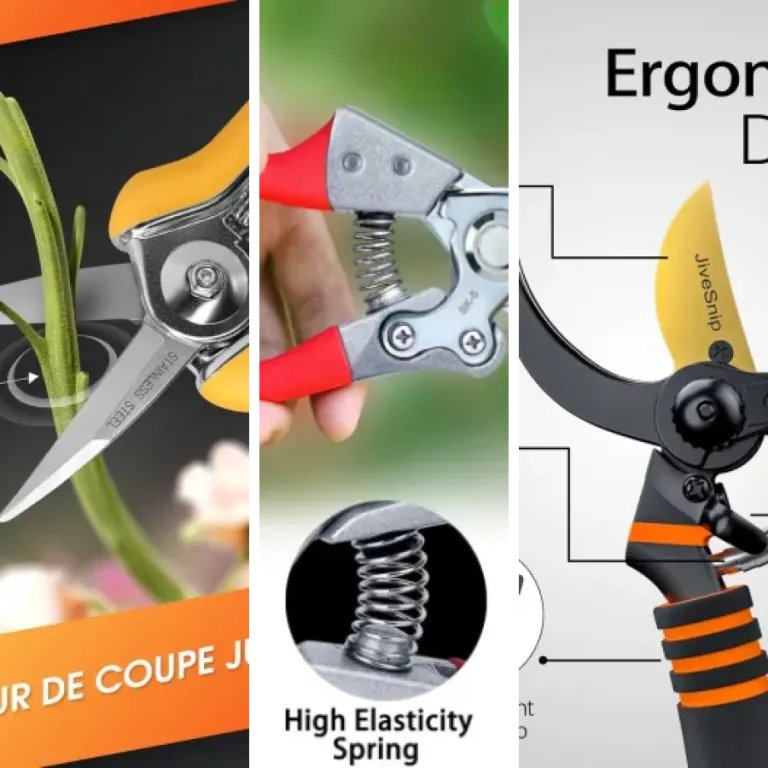 Top 5 : meilleurs sécateurs manuels premium (2026)