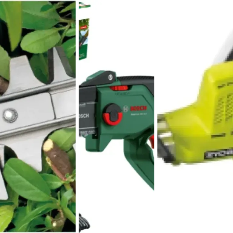 10 meilleurs taille-haies électriques précision : notre comparatif (2026)