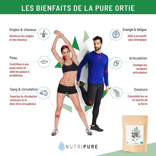 Feuilles d'Ortie Bio en Poudre - Riche en Oligo Éléments et en Minéraux - Favorise la Circulation Veineuse et le Bien Être Circulatoire - Aide à se sentir plus énergique - Sachet de 150G