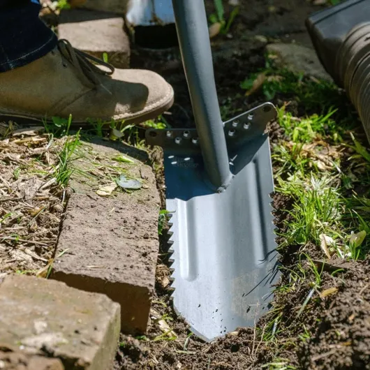 711hWMrBGwL._AC_SL1200_