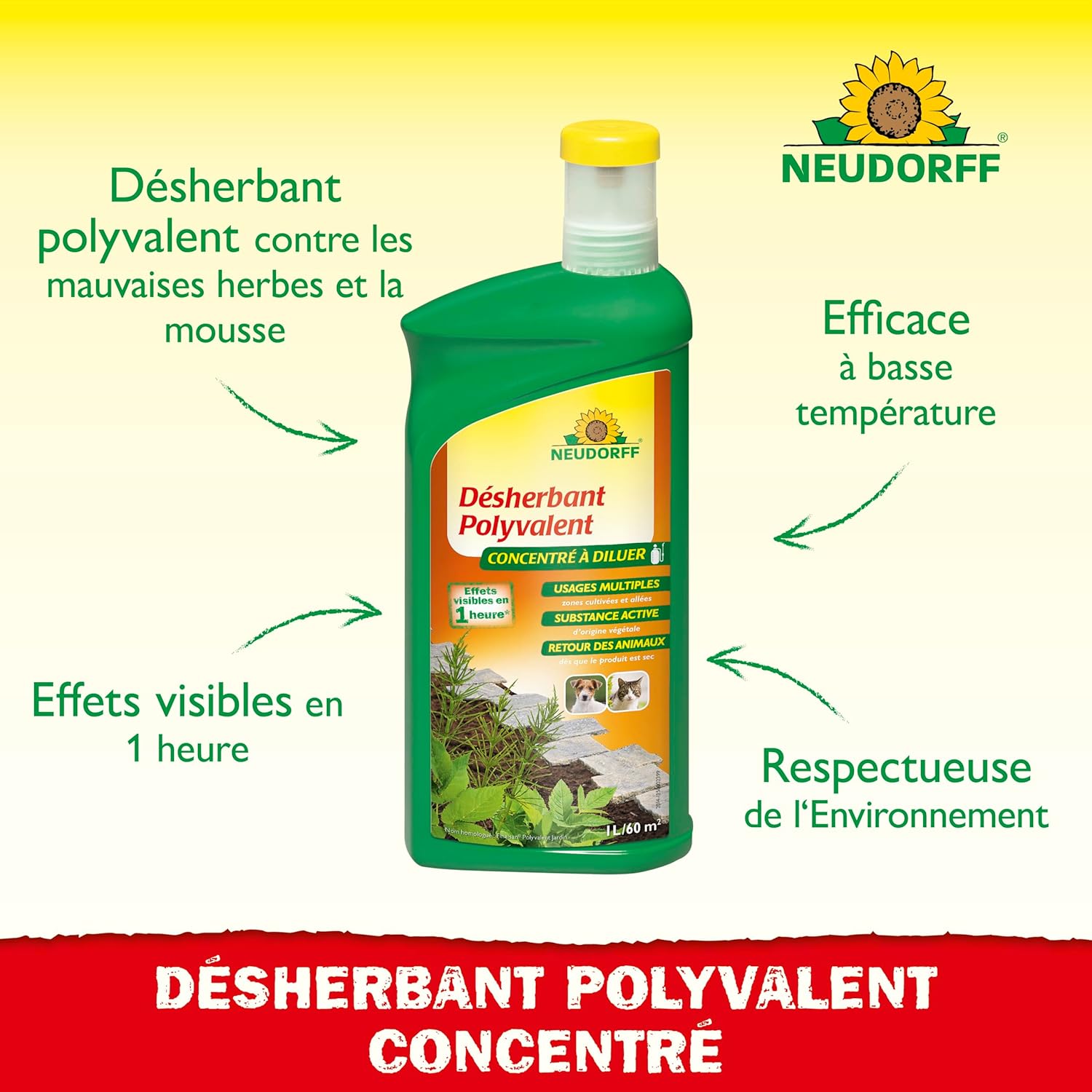 Neudorff Finalsan Désherbant Polyvalent - Combat les mauvaises herbes et la mousse telles que les pissenlits - Sans glyphosate, Concentré pour 60m², 1 L