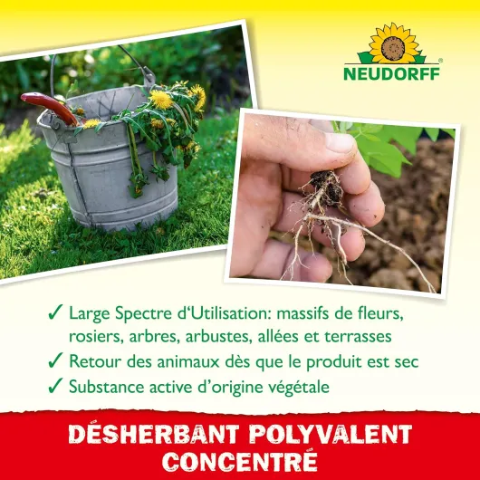 81EmK gydOL._AC_SL1500_