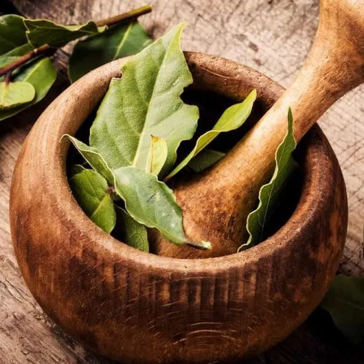 81xIG0y3avL._AC_SL1500_