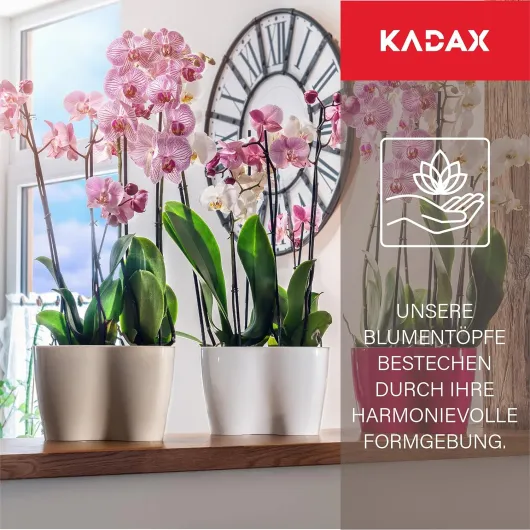 81XumDB0hYS._AC_SL1500_