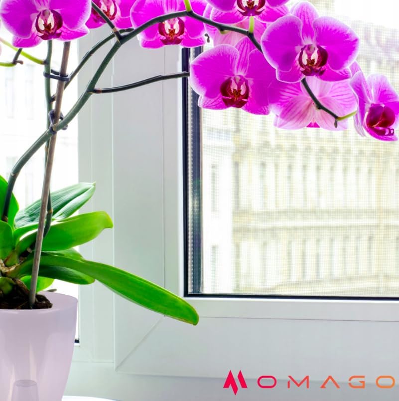 OMAGO® Cache-Pot pour orchidée, Lot de 3 pièces, Pot décoratif Gris Semi-Transparent, Cache-Pot Moderne pour Fleurs