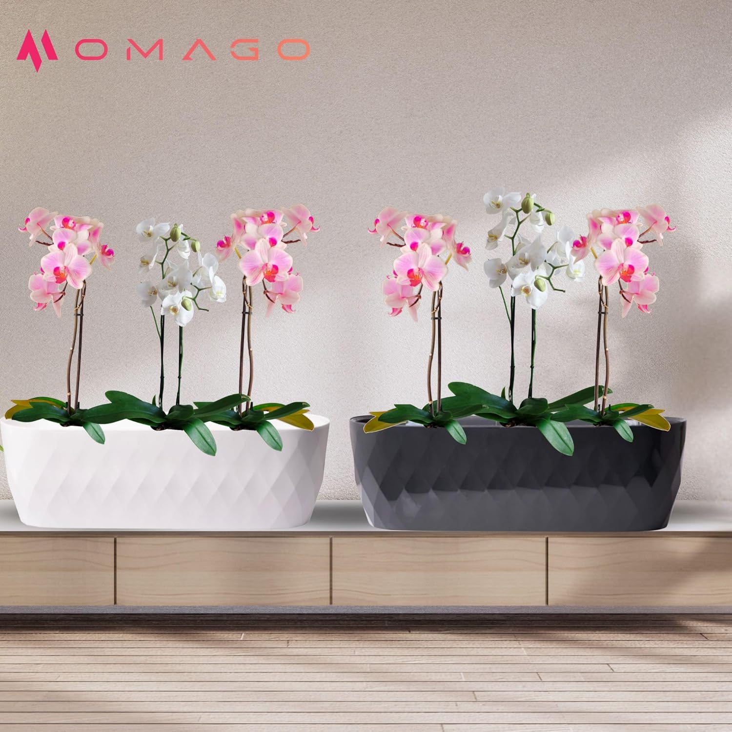 OMAGO® Ensemble de 3 Cache-Pots allongés pour orchidées avec Socle, élégants Pots ovales pour l'intérieur, Cache-Pots décoratifs pour orchidées et Plantes d'intérieur