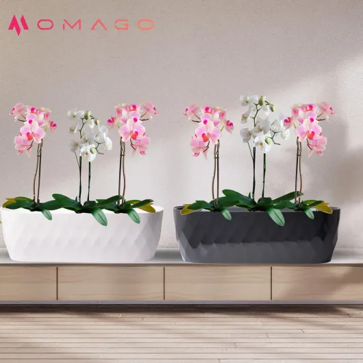 OMAGO® Ensemble de 3 Cache-Pots allongés pour orchidées avec Socle, élégants Pots ovales pour l'intérieur, Cache-Pots décoratifs pour orchidées et Plantes d'intérieur
