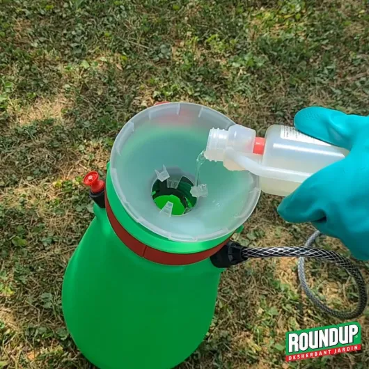 71cgsKbcI5L._AC_SL1000_