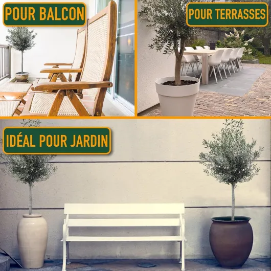 91xDeqaddHL._AC_SL1500_