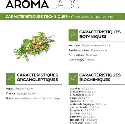 813FgqBCQgL._AC_SL1500_